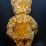 1950s Steiff Teddy Bear