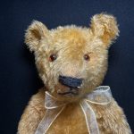 William Chad Valley Magna